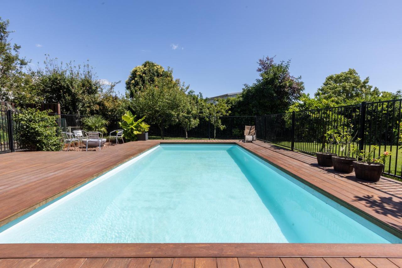 Live Large In The Village Havelock North Exteriör bild